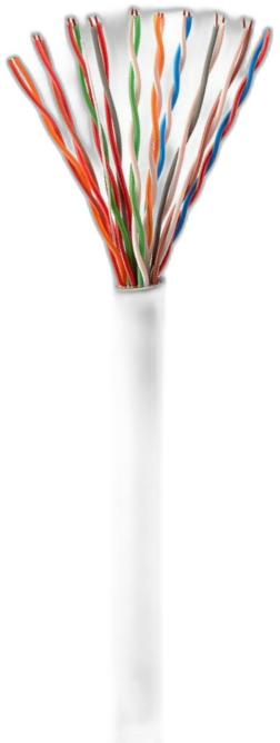 10 Pair - CAT3 Multipair Cable | LANP CABLE manufacturer