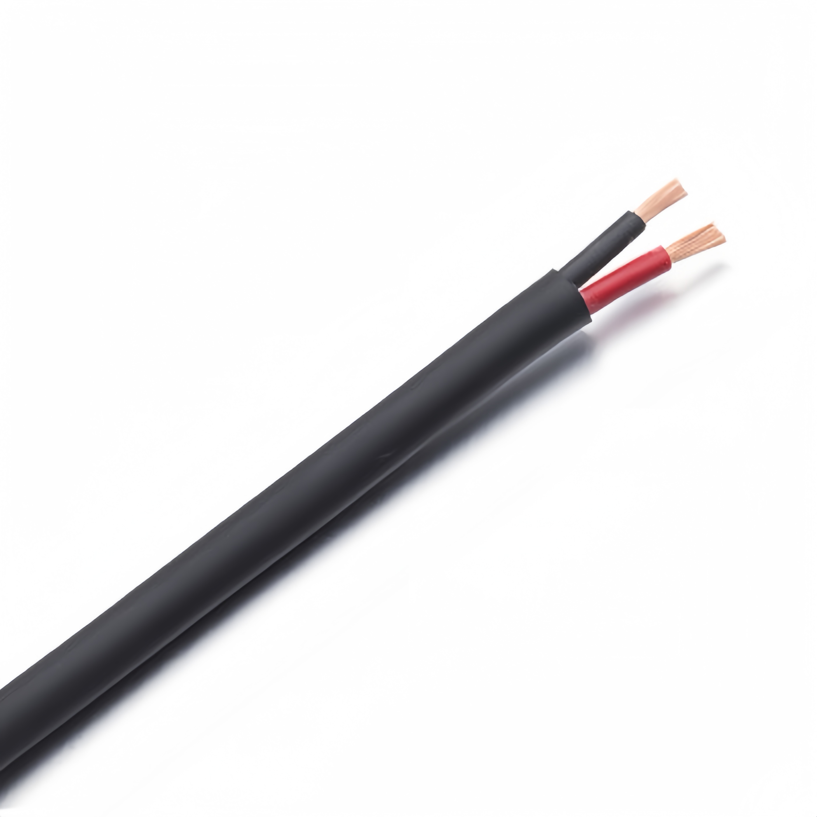 2C Speaker Cable Black