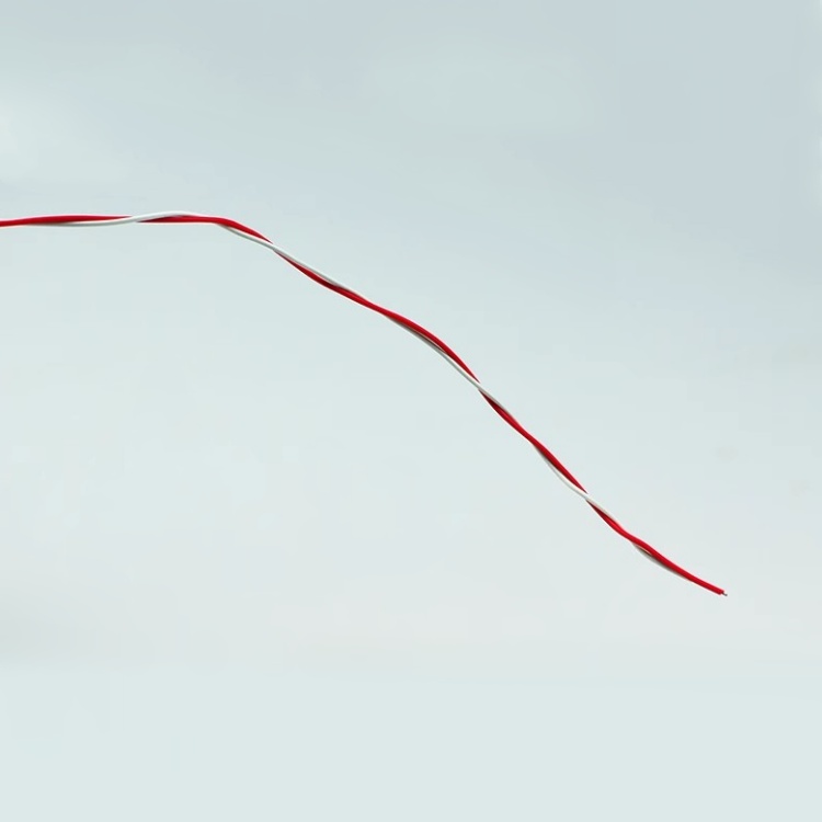Twisted Telephone Cable